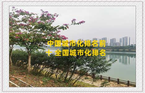 中国城市化排名前十 全国城市化排名